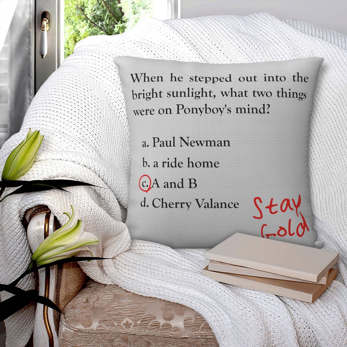 Наволочка Outsiders Ponyboy Qu – обзор и цена Home Decor Quiz